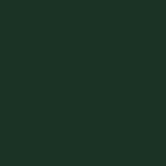 Federation Green <br><span style="font-size:10px;"><em>(not available with Bahama)<em></span>