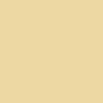 Paperbark Matt